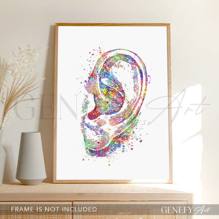 Ear Anatomy Watercolour Print