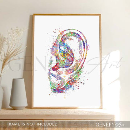Ear Anatomy Watercolour Print