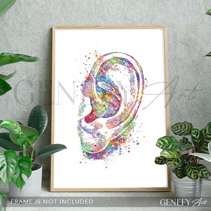 Ear Anatomy Watercolour Print