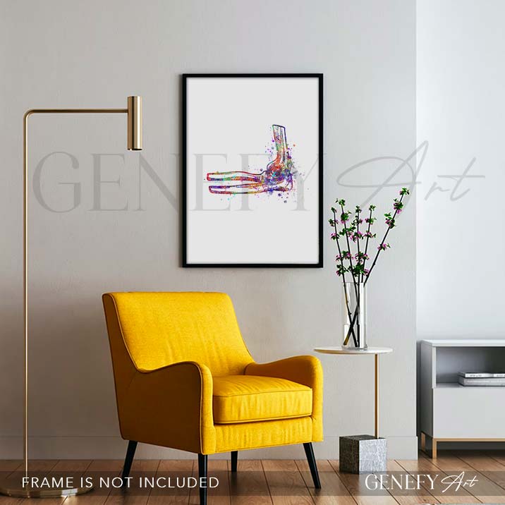 Elbow Joint Watercolour Print