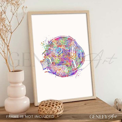 Eye Anatomy Watercolour Print