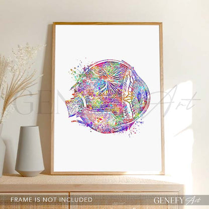 Eye Anatomy Watercolour Print