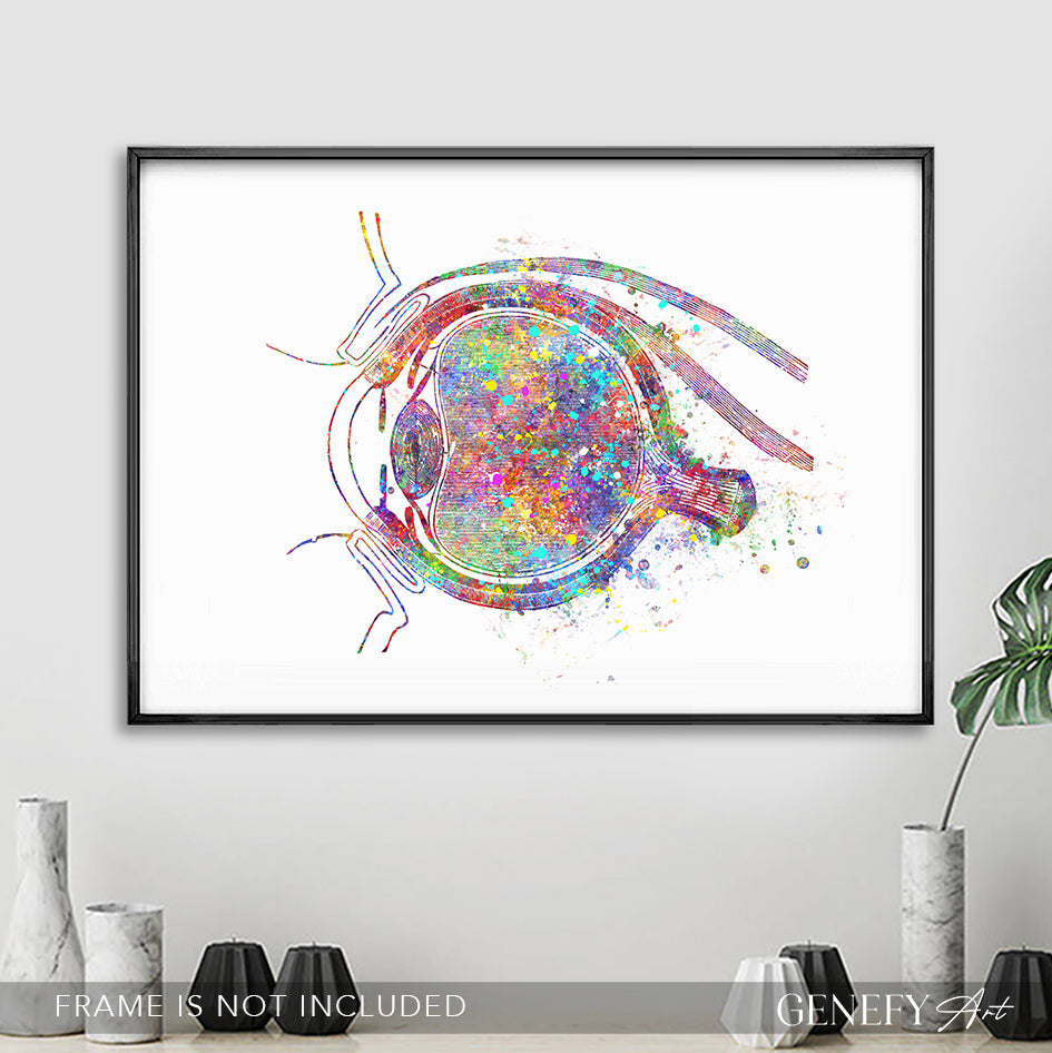 Eye Anatomy Watercolour Print