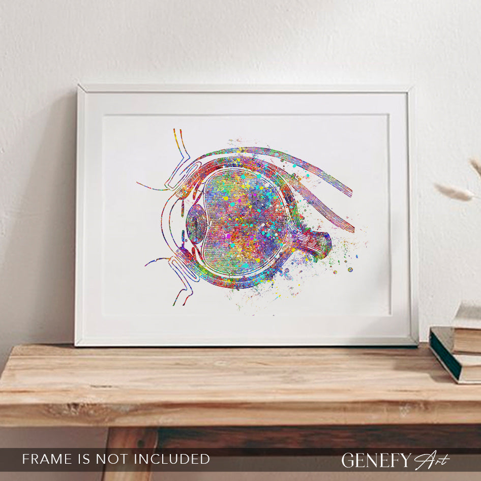 Eye Anatomy Watercolour Print