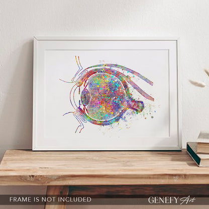 Eye Anatomy Watercolour Print