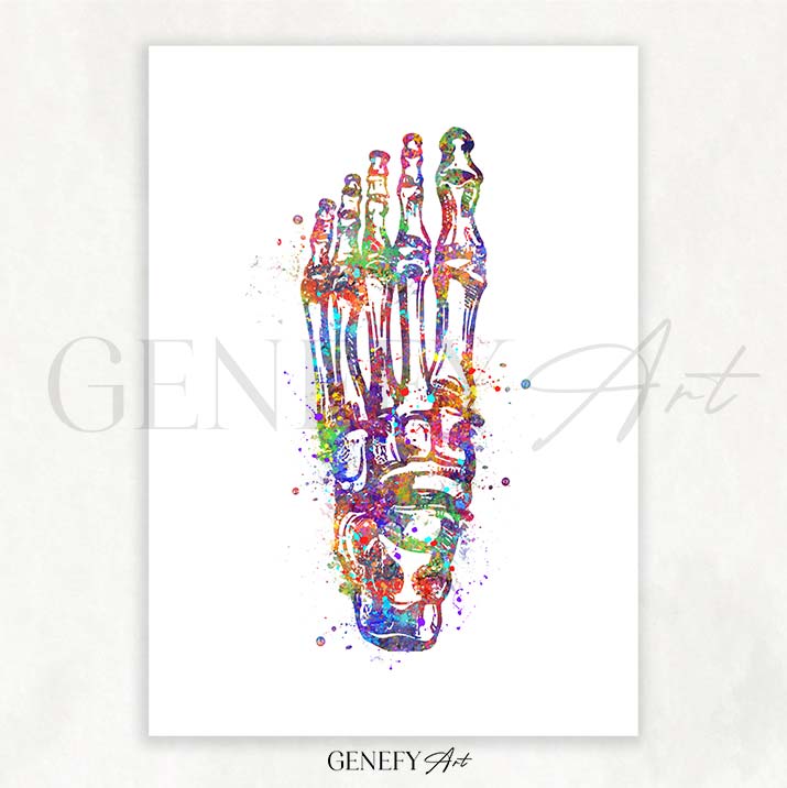Foot Bones Watercolour Print