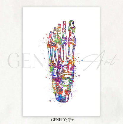 Foot Bones Watercolour Print