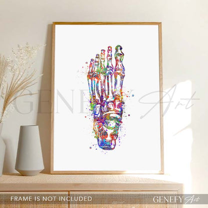 Foot Bones Watercolour Print