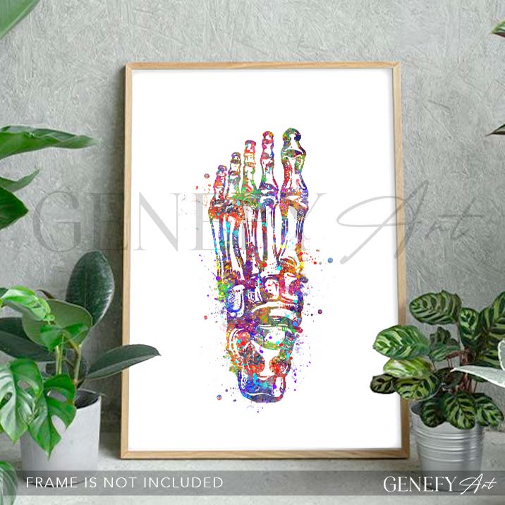 Foot Bones Watercolour Print