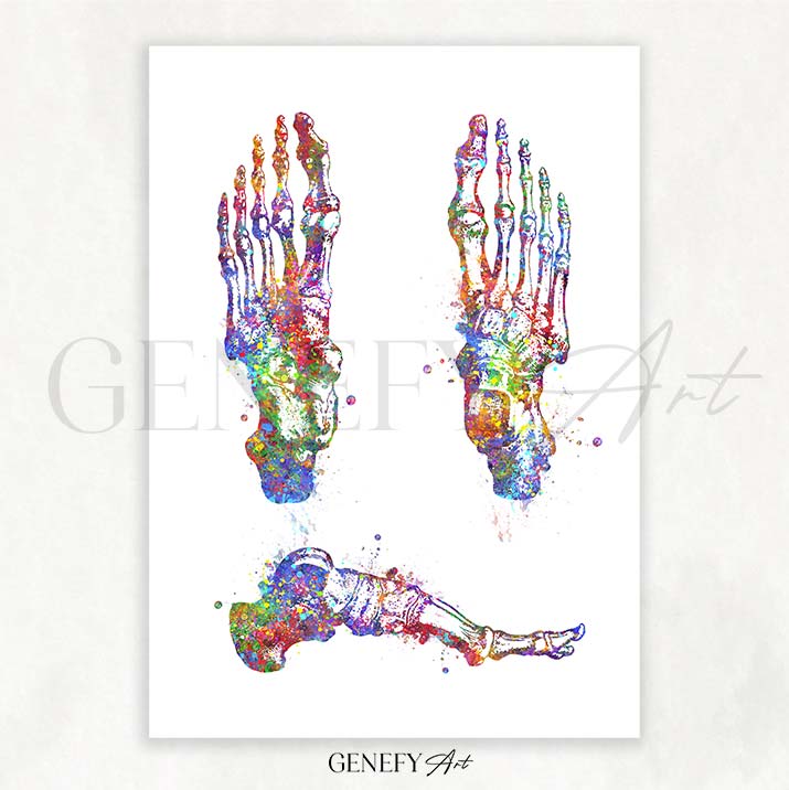 Foot Bones Watercolour Print