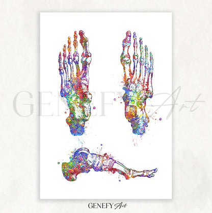 Foot Bones Watercolour Print