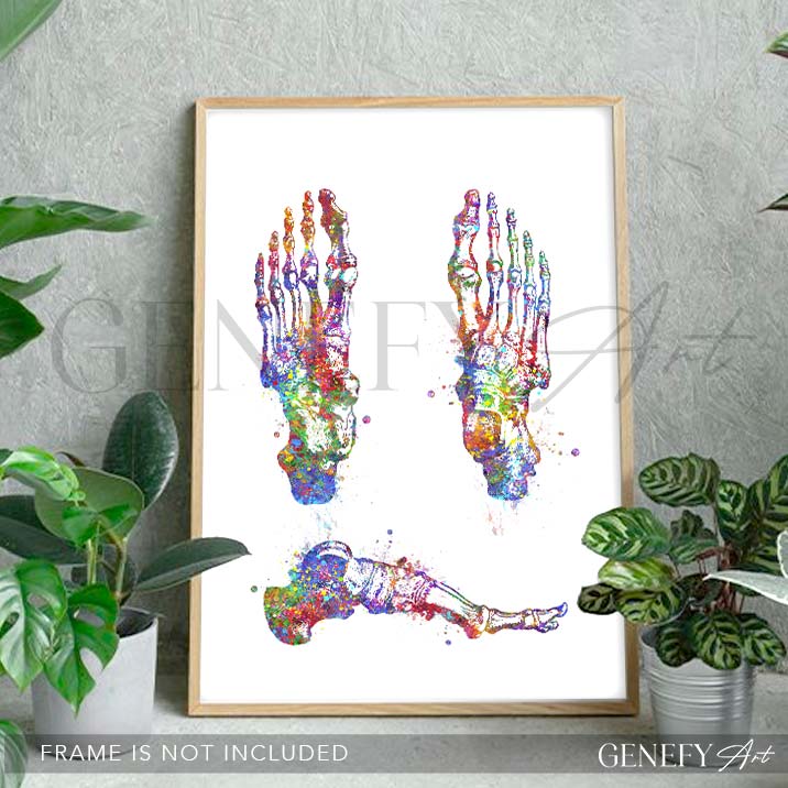 Foot Bones Watercolour Print