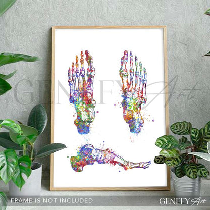 Foot Bones Watercolour Print