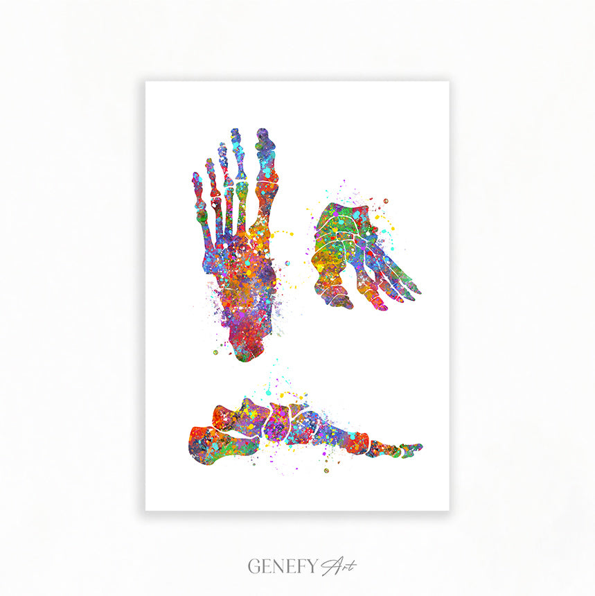 Foot Bones Watercolour Art Print