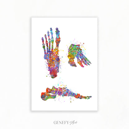 Foot Bones Watercolour Art Print