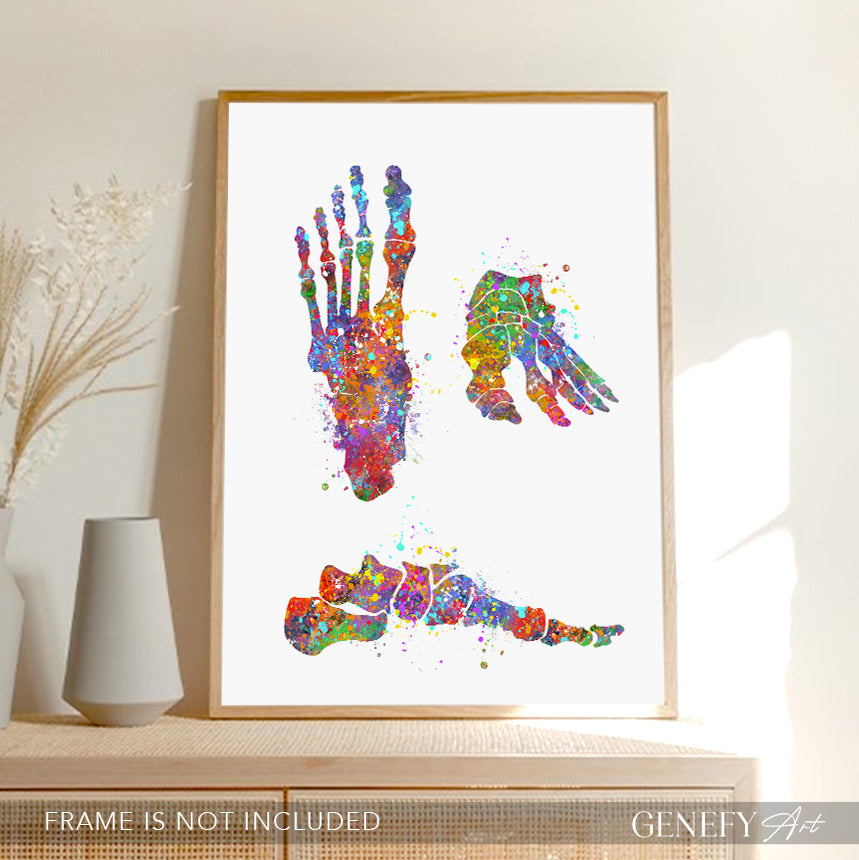 Foot Bones Watercolour Art Print