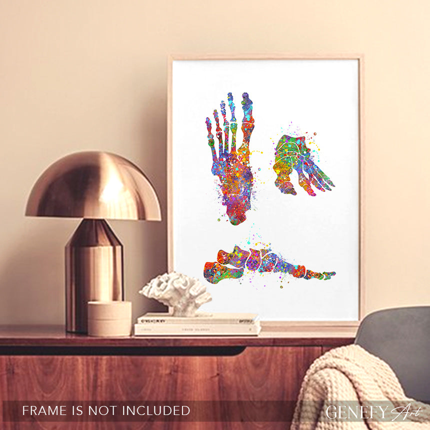Foot Bones Watercolour Art Print