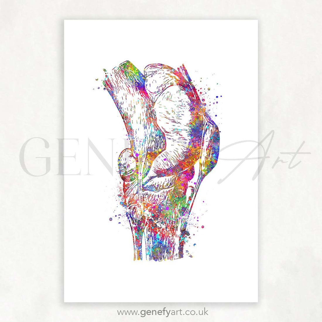 Knee Joint Watercolour Print