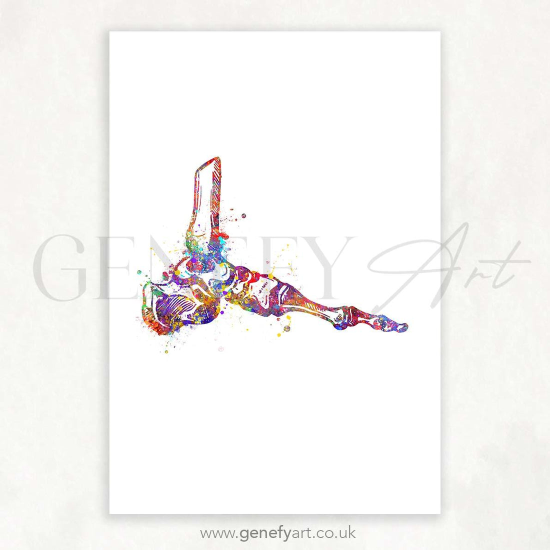 Ankle Joint Watercolour Print - Genefy Art