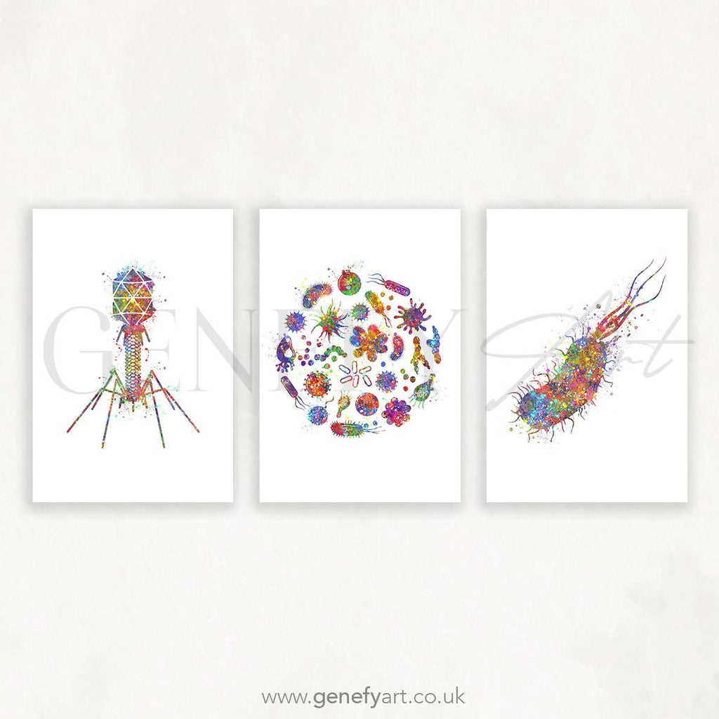 Bacteria Bacteriophage E.Coli Watercolour Art Print - Set of 3 Microbiology Prints - Genefy Art