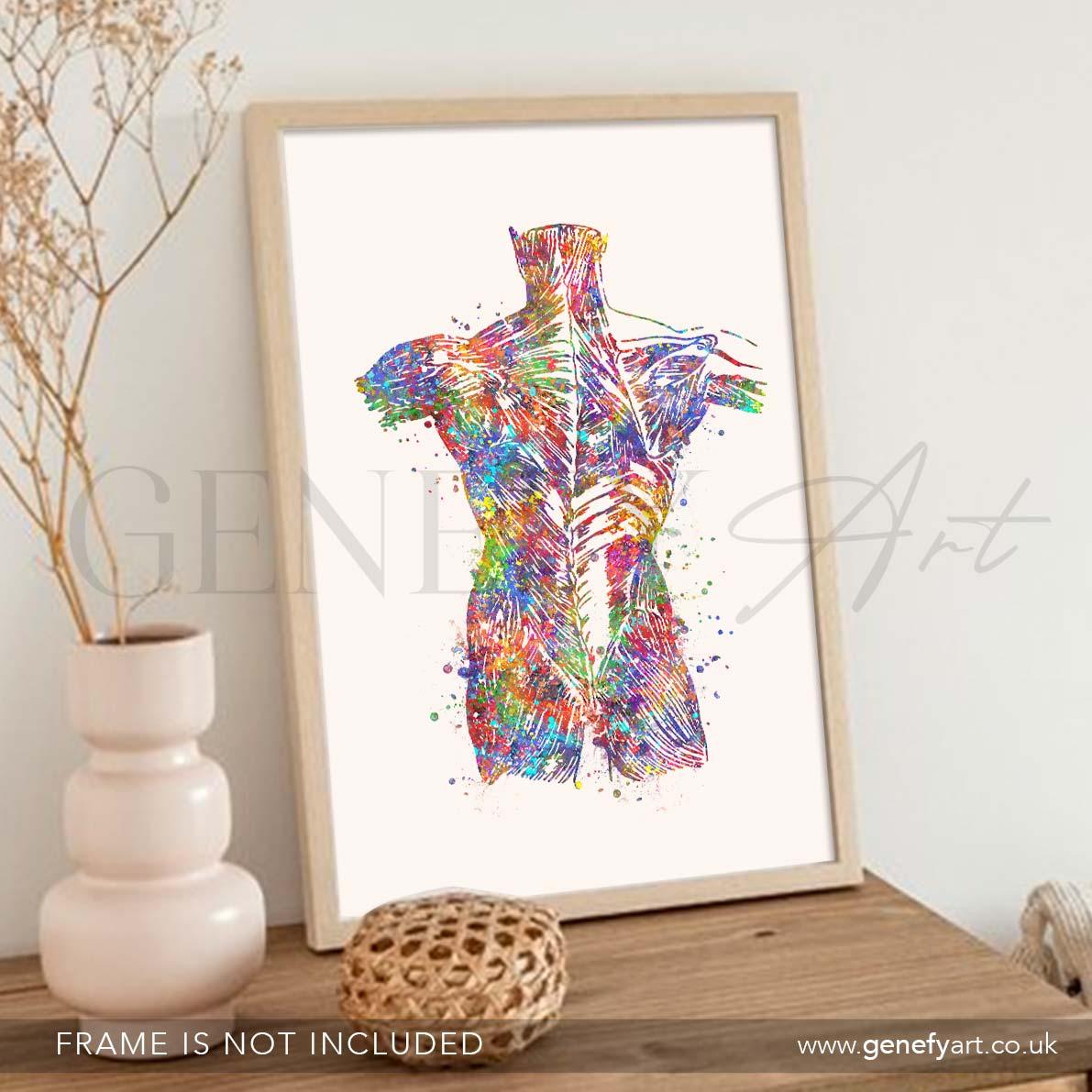 Back Muscles Anatomy Watercolour Print - Genefy Art
