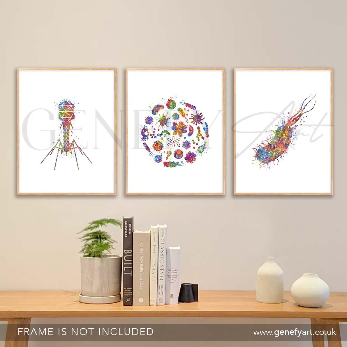 Bacteria Bacteriophage E.Coli Watercolour Art Print - Set of 3 Microbiology Prints - Genefy Art