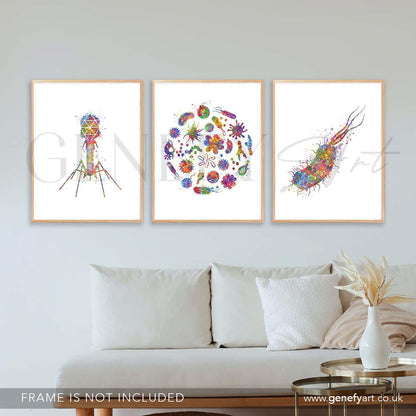 Bacteria Bacteriophage E.Coli Watercolour Art Print - Set of 3 Microbiology Prints - Genefy Art