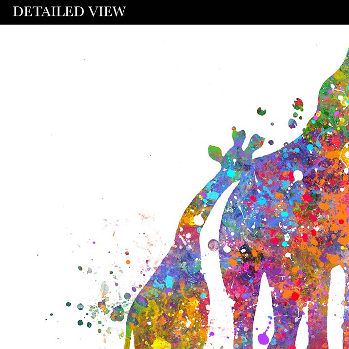 Giraffe Family  of 5 Watercolour Art