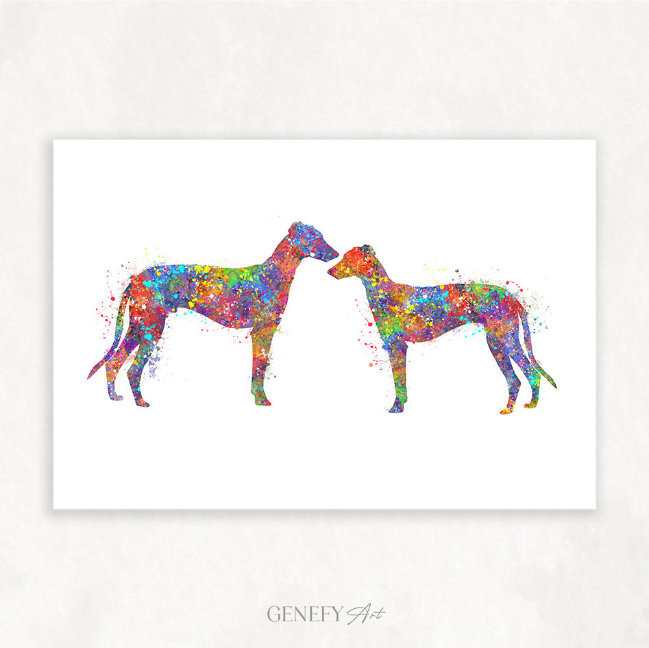 Greyhound Couple Watercolour Print - Genefy Art