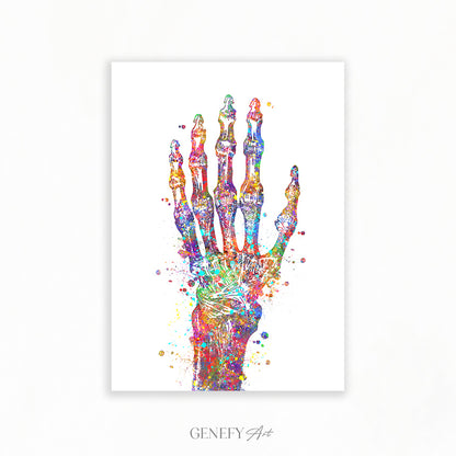 Hand Bones Watercolour Print