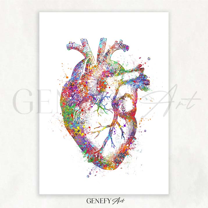 Heart Anatomy Watercolour Art Print - Genefy Art