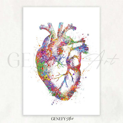 Heart Anatomy Watercolour Art Print - Genefy Art