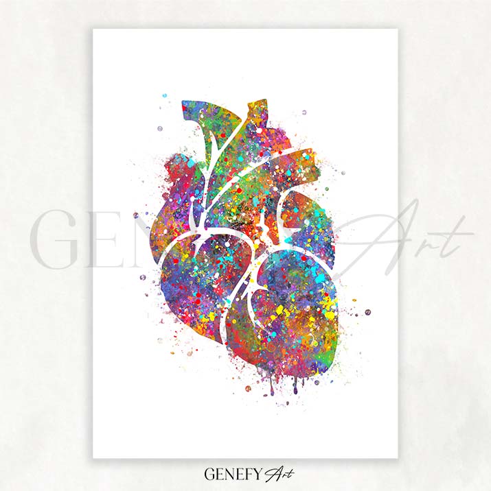 Heart Anatomy Watercolour Art Print