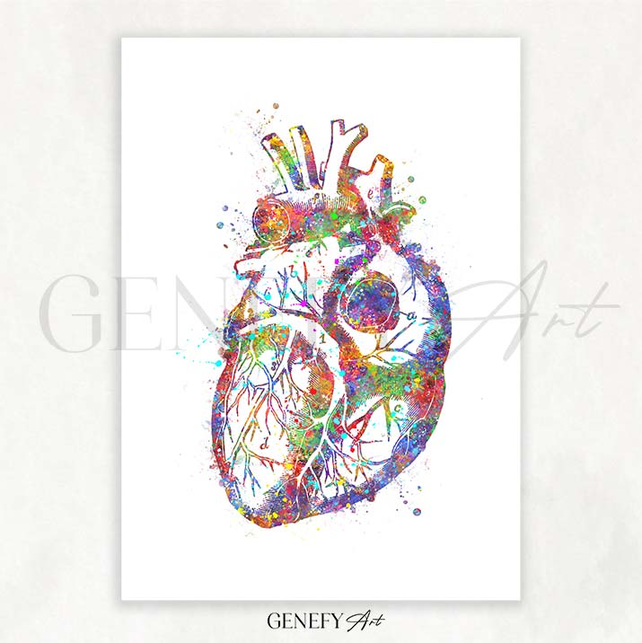Heart Anatomy Watercolour Art Print