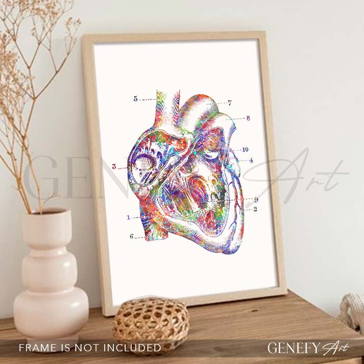 Heart Anatomy Watercolour Art Print