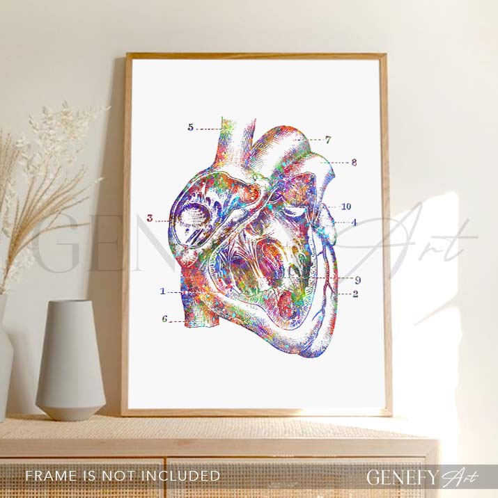Heart Anatomy Watercolour Art Print