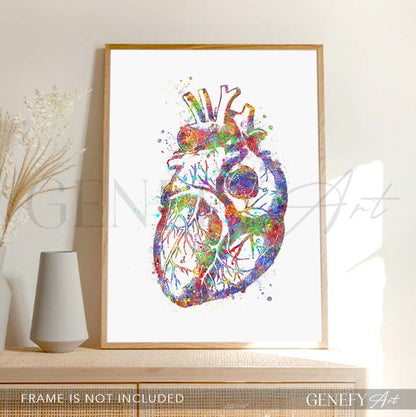 Heart Anatomy Watercolour Art Print