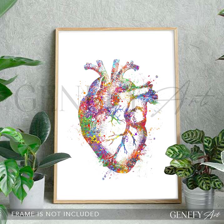 Heart Anatomy Watercolour Art Print - Genefy Art