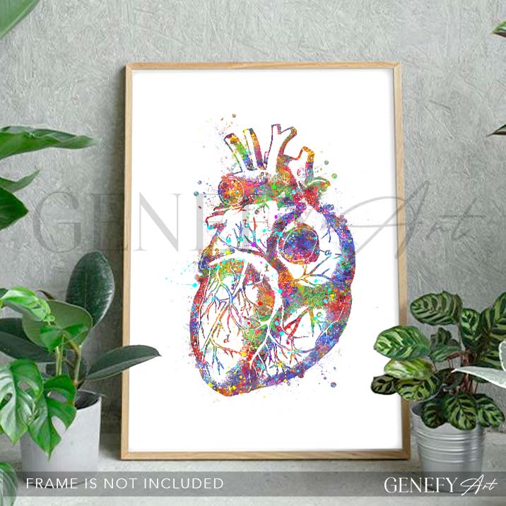 Heart Anatomy Watercolour Art Print