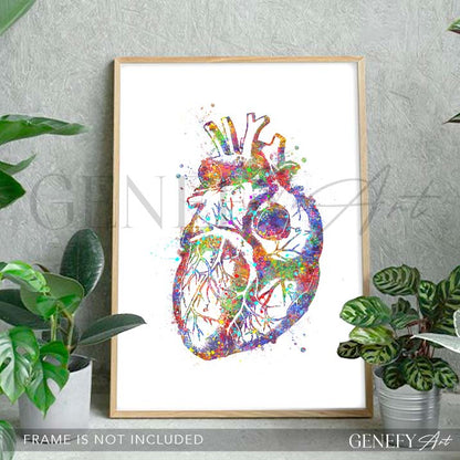 Heart Anatomy Watercolour Art Print