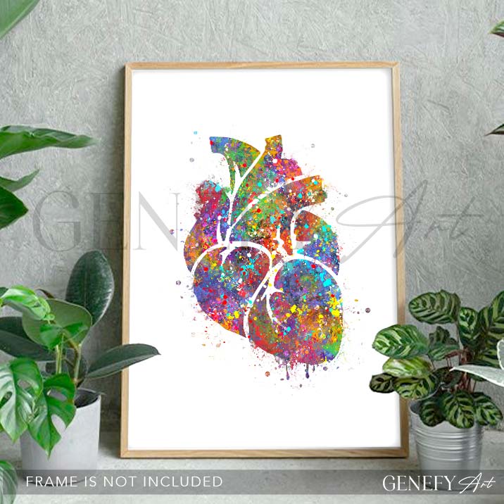 Heart Anatomy Watercolour Art Print