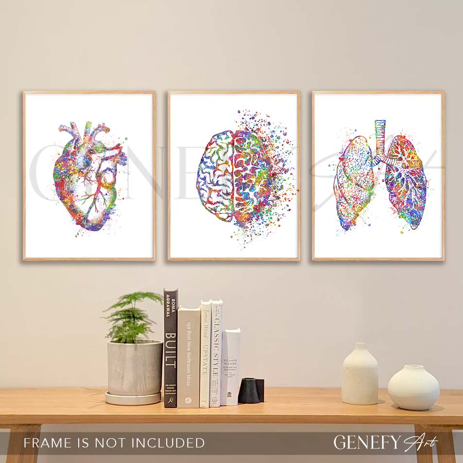 Heart, Brain, Lungs Watercolour Print, Set of 3 Anatomy Prints - Genefy Art