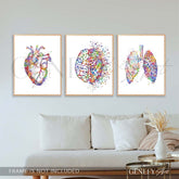 Heart, Brain, Lungs Watercolour Print, Set of 3 Anatomy Prints - Genefy Art