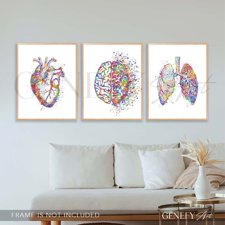 Heart, Brain, Lungs Watercolour Print, Set of 3 Anatomy Prints - Genefy Art