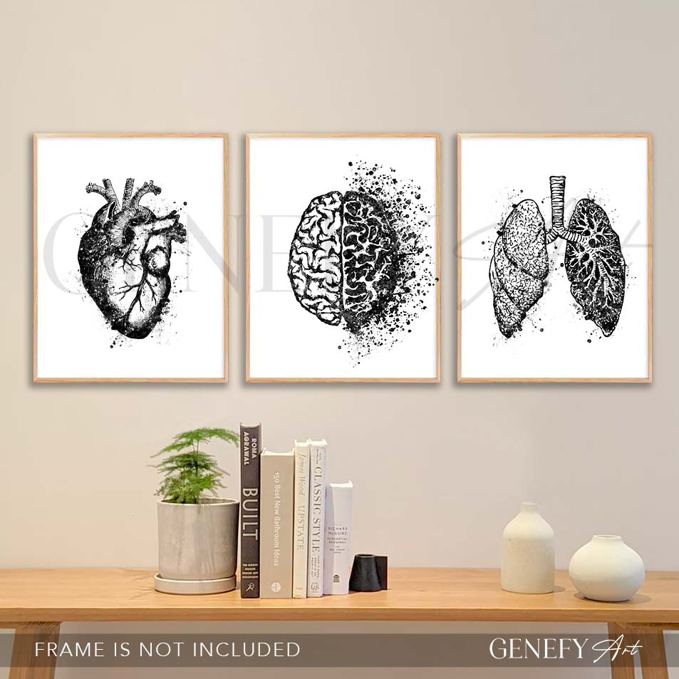 Heart, Brain, Lungs Black and White Watercolour Print, Set of 3 Anatomy Prints