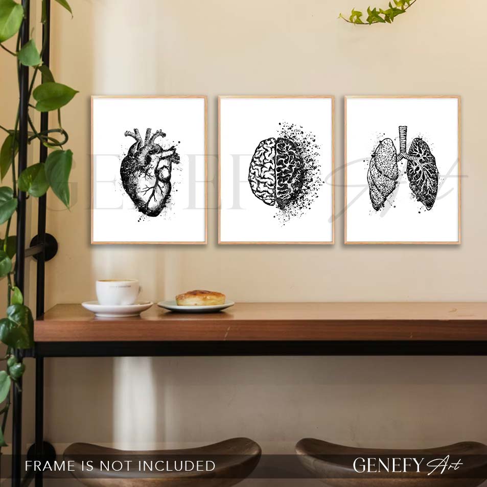 Heart, Brain, Lungs Black and White Watercolour Print, Set of 3 Anatomy Prints