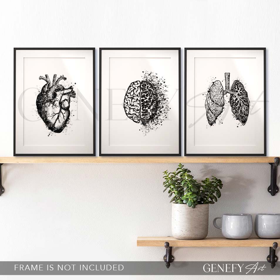 Heart, Brain, Lungs Black and White Watercolour Print, Set of 3 Anatomy Prints