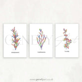 Herbs Watercolour Print - Rosemary Tarragon Thyme Art - Set of 3 - Genefy Art