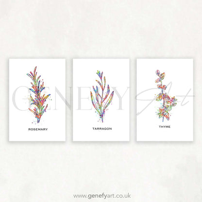Herbs Watercolour Print - Rosemary Tarragon Thyme Art - Set of 3 - Genefy Art
