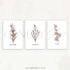 Herbs Watercolour Print - Rosemary Tarragon Thyme Art - Set of 3 - Genefy Art